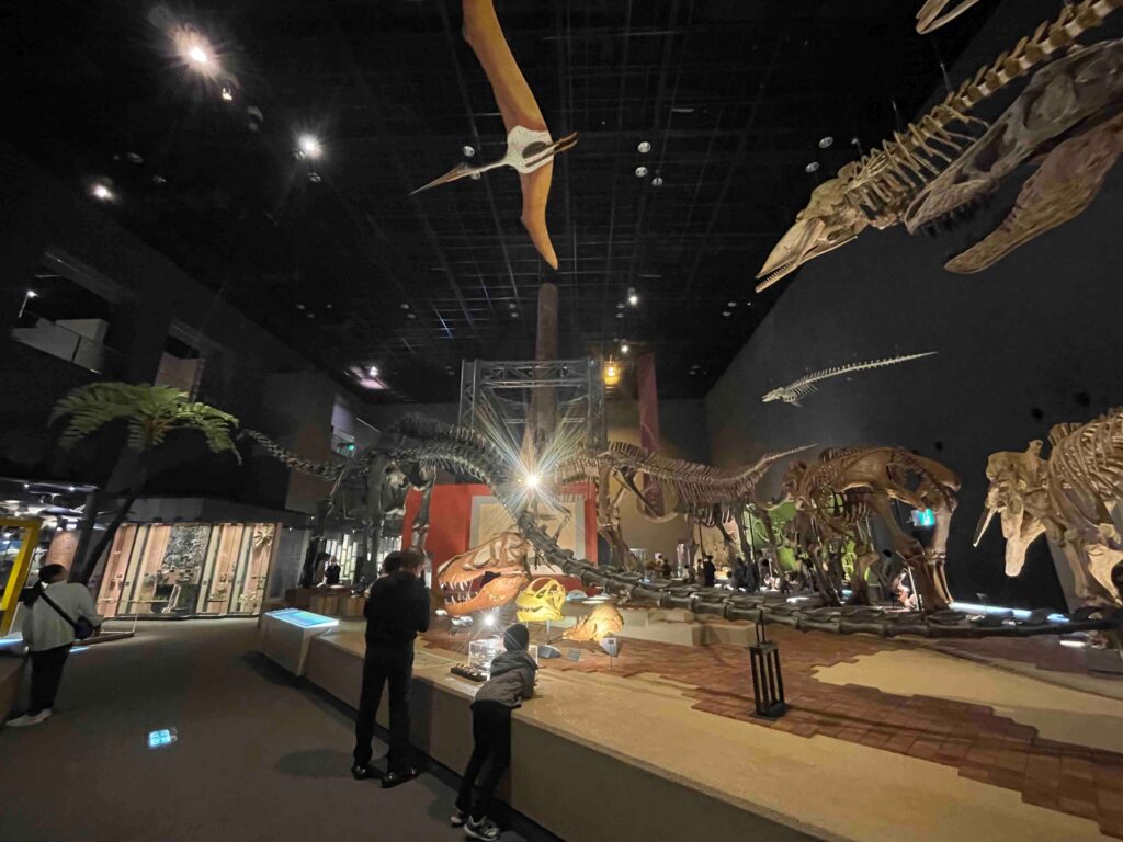 地球博物館　恐竜